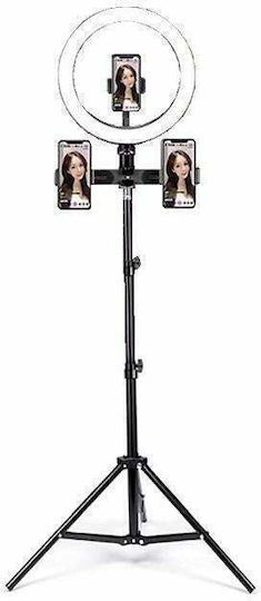 Ring Light 25.4cm 3000 - 6000K with Floor Tripod and Mobile Phone Holder