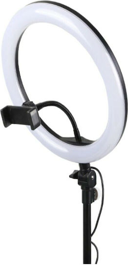 Ring Lamp Light LED Ring Light 25.5cm 2500 - 4500K με Τρίποδο Δαπέδου και Βάση για Κινητό