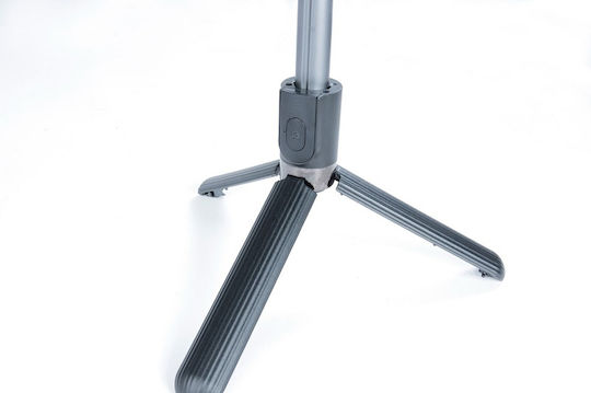 XO XO-L08 SJ26 Ring Light 25cm with Desktop Tripod and Mobile Phone Holder