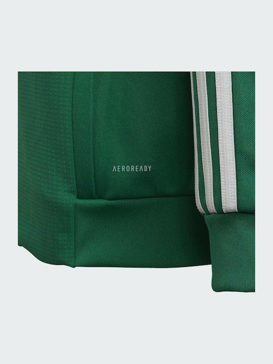 Athletic Kids Cardigan Green Tiro 19 Training