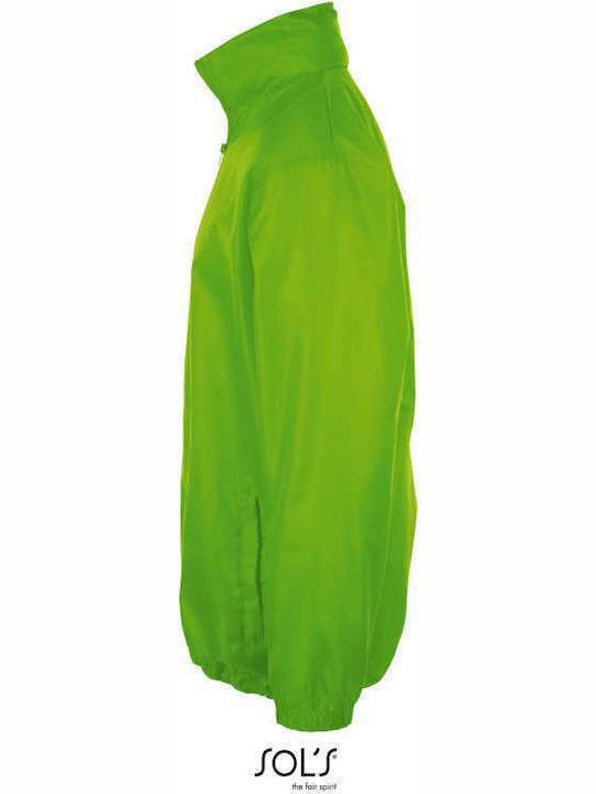 Winter Jacket Waterproof and Windproof Green