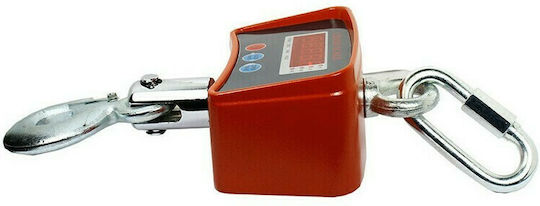 Electronic Professional Hanging Scale with Weighing Capacity of 100kg and Division 500gr