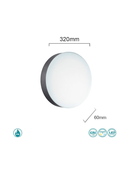Ondaluce Nilo Outdoor Ceiling Flush Mount in Black Color PL.NILO/ANTRACITE