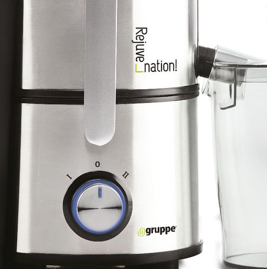 Gruppe Rejuvenation Juicer 800W Silver