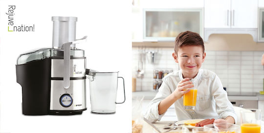 Gruppe Rejuvenation Juicer 800W Silver