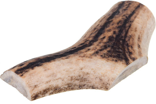 4Dogs Horn Hund Mittelgroße Rassen aus Hirsche 12cm 55gr DLZ4DOKSP0005