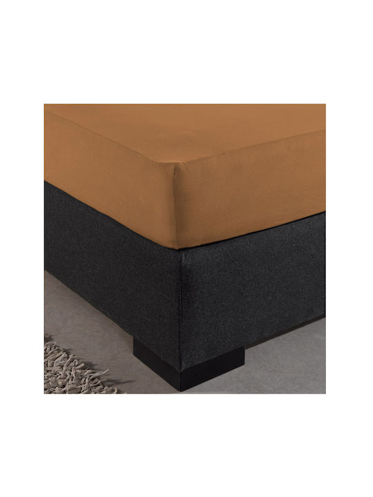 DreamHouse Bettlaken Super-Doppel mit Gummiband 160x200+30cm. Taupe