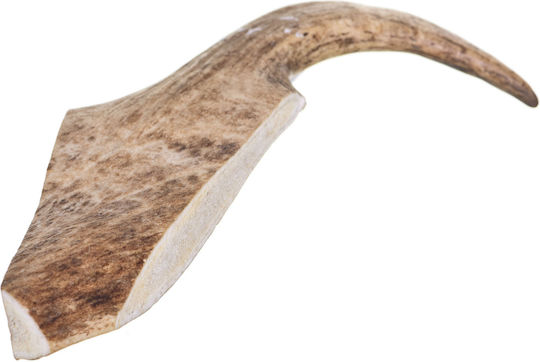4Dogs Horn Dog from Deer