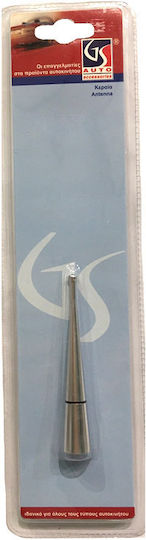 Auto Gs Car Antenna Roof Sport 9cm Threaded for Radio in Silver Color