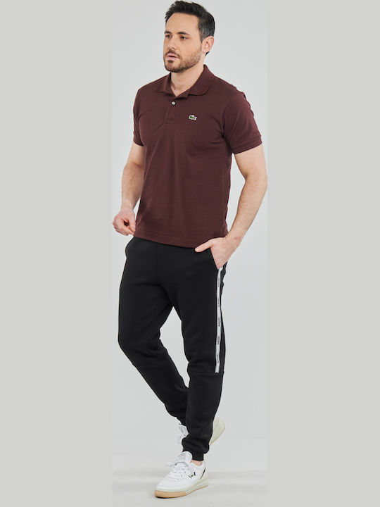 Polo Short Sleeve Blouse Burgundy