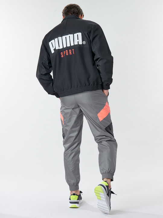 PUMA