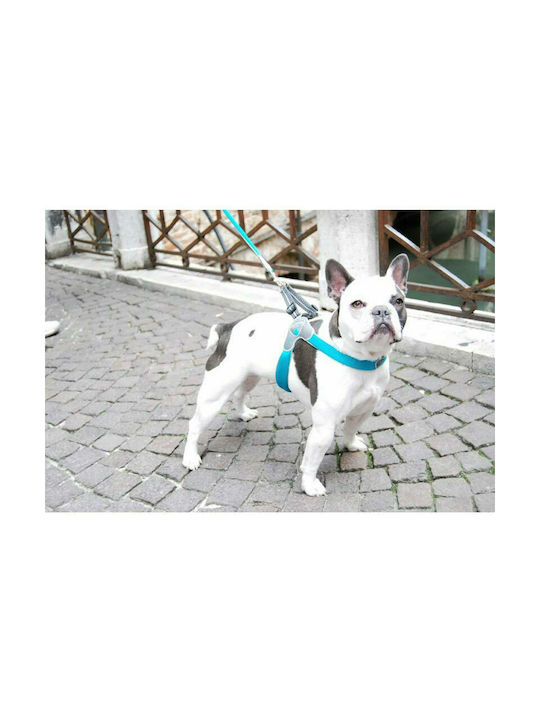 Pet Camelot Σαμαράκι Σκύλου Cinquetorri 8 Μαύρο 60 - 70cm