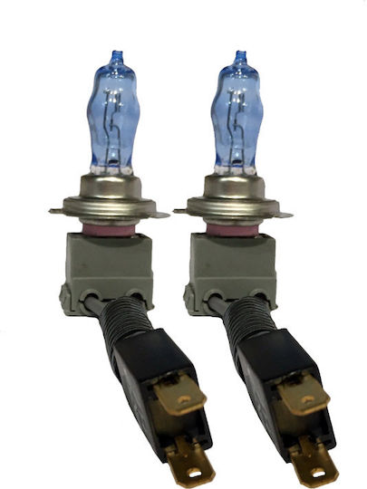Racesport Lamps Car HB4-9006 Halogen 4300K Natural White 12V 85W 1pcs