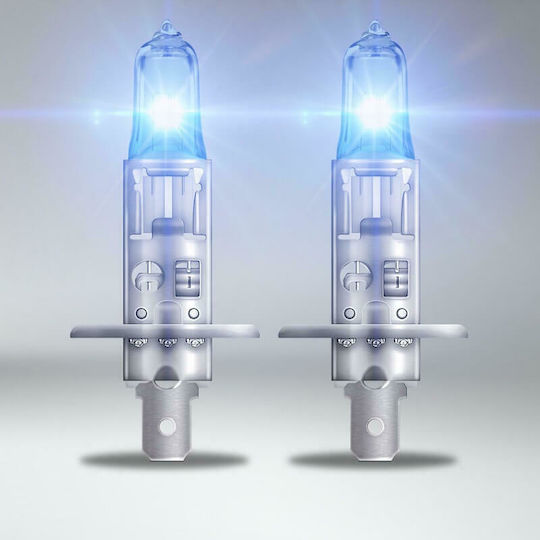 Osram Lamps Car & Motorcycle Cool Blue Intense +100% H1 Halogen 5000K Cold White 12V 55W 2pcs