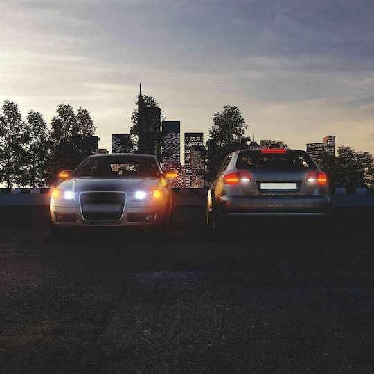 Osram Lamps Car & Motorcycle SV8.5-8 LED 6000K Cold White 12V 0.6W 1pcs