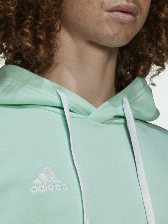 Entrada 22 Sweatshirt with Hood Clear Mint