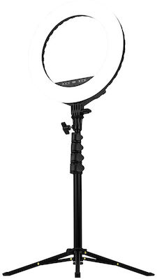 Ring Light Streamplify Light 14 36cm 3000-6000K με Τρίποδο Δαπέδου και Βάση για Κινητό