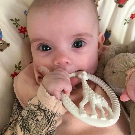 Sophie La Girafe Teething Ring made of Rubber for 0 m+