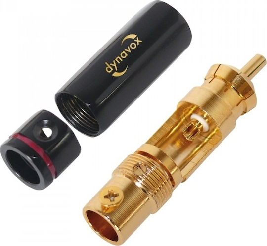 Dynavox RCA male (206066)