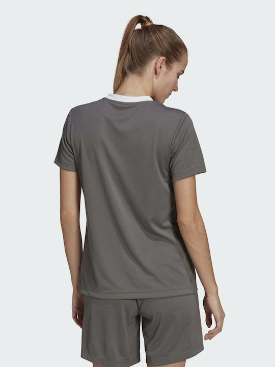 Adidas Entrada 22 Damen Sportlich T-shirt Schnell trocknend mit V-Ausschnitt Team Grey Four