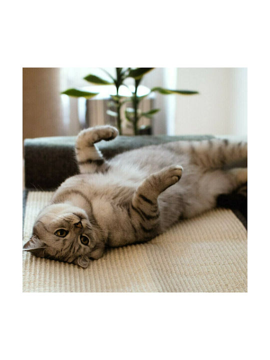 Navaris Scratching Post Floor Mats Blue Wall Mounted 130x45cm