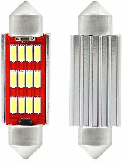 AMiO Lamps Car C5W Canbus LED 5600K Cold White 12-24V 2.9W 2pcs
