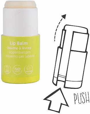 Beauty Made Easy Hemp Lip Balsam Tub de hârtie de balsam de buze de hârtie 6gr