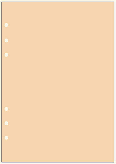 Contax Organizer Note Sheets 30 Refill Pads A5 Orange