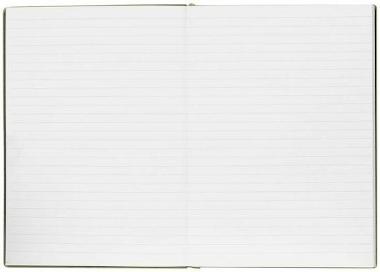 Boss Essential Storyline Carnet 80 Foi A5 Cu dungi Verde
