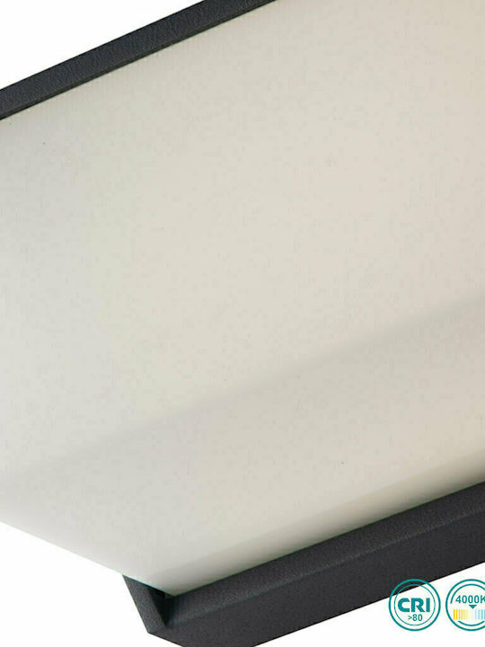Fan Europe LED-W-Luxon Wandmontierte Außen-Deckenleuchte LED IP54 12W mit Natürliches Weiß Licht 25x9.5x11εκ.