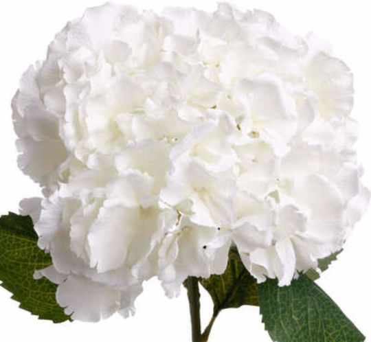 Hortensia Изкуствен Декоративен Клон Бял Atmosphera Hortensia Изкуствен Декоративен Клон Бял Atmosphera