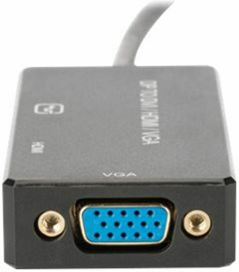 Digitus Converter DisplayPort male to DVI-D / HDMI / VGA female 1pcs AK-340418-002-S