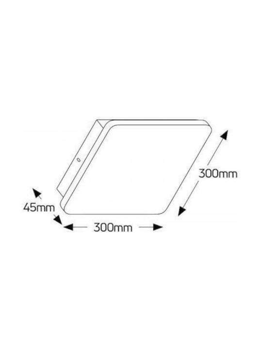 Geyer Осветително тяло За стена LED Бял 30x30см.