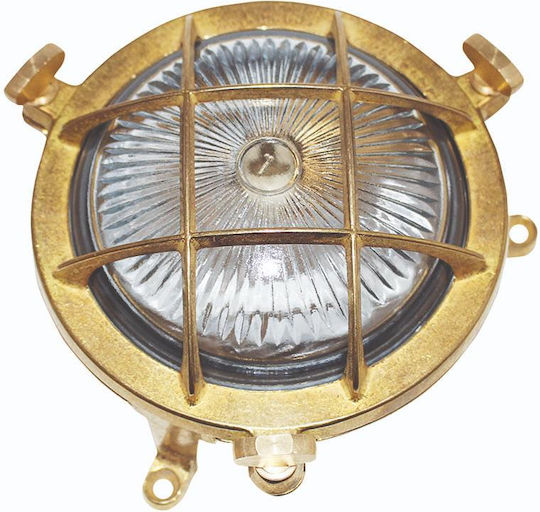 Lido Broască Testoasă Bronz Lido Broască Testoasă Bronz