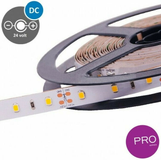 Eurolamp LED Strip 24V Cold White Light 5m Type SMD2835