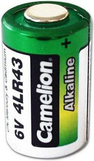Camelion Αλκαλική Μπαταρία 4LR43 6V 1τμχ