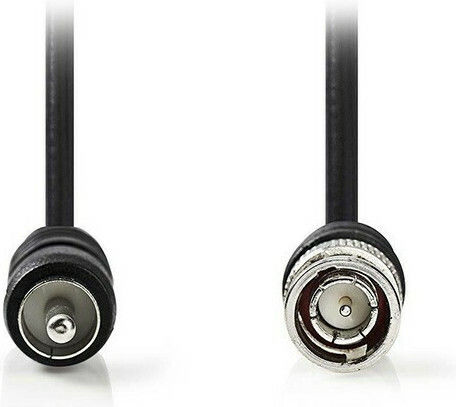 Nedis Cable RCA male - BNC male 3m (CVGP24800BK30) 1pcs