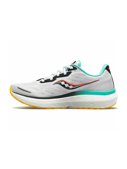 Triumph 19 Sport Shoes Running Multicolour