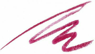 Mesauda Milano Artist Lips Pencil 110