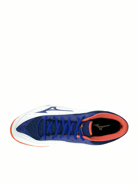 Mizuno Wave Flash Ανδρικά Παπούτσια Τένις για Χωμάτινα Γήπεδα Πολύχρωμα