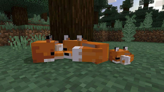 Minecraft Starter Collection Edition PS4 Game