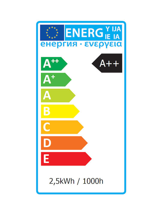 Polux Φωτάκι Νυκτός LED Αρκουδάκι Ρεύματος Λευκό