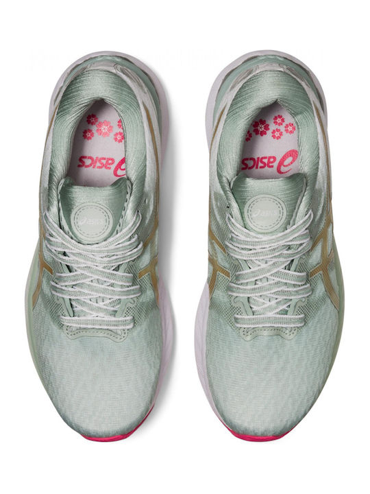 GEL-Nimbus 23 SP Damen Sportschuhe Laufen Lichen Rock / Champagne