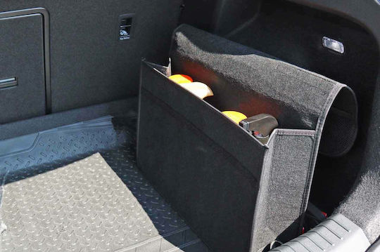 AMiO Car General Purpose Case 48x14x32cm /AM