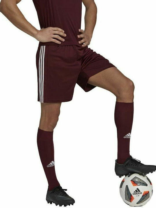 Squadra 21 Shorts Style Football