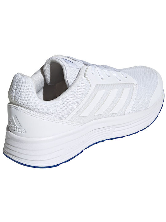 Galaxy 5 Herren Sportschuhe Laufen Cloud White / Royal Blue