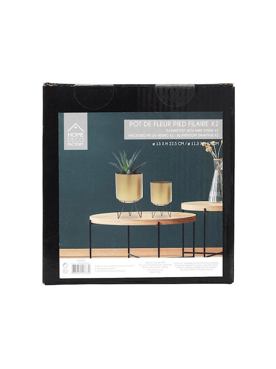 The Home Deco Factory Home Deco Factory Gold Planter Metal Gold with Stand 13x13x22.5cm.