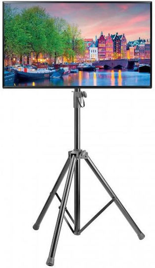 Techly ICA-TR17T Βάση Τηλεόρασης Δαπέδου έως 70" και 35kg