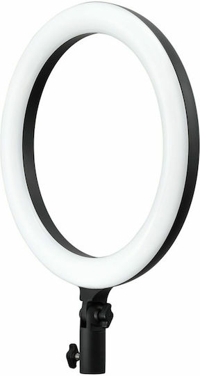 Godox LR120B Ringlicht 30cm 3000 - 6000K mit Handyhalter
