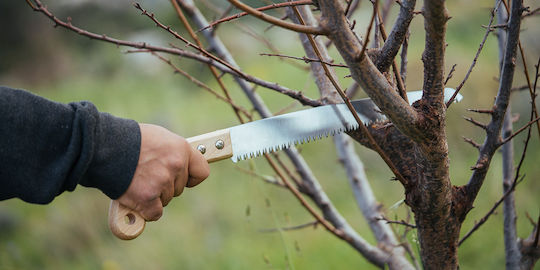 TopMan Pruning Hand Saw 33cm